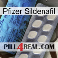 Pfizer Sildenafil 34